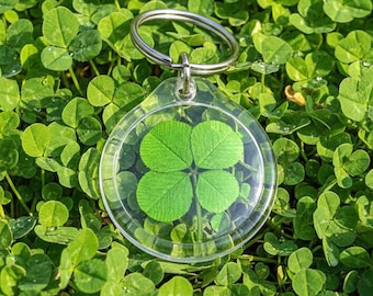 Genuine Preserved Four Leaf Clover Displayed in a Clear Acrylic Pendent Split Ring Keychain - KT-4L