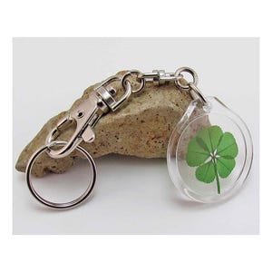 Acrylic Charm Trigger Snap Keychain with a Real Genuine Five Leaf Clover - AK-5J