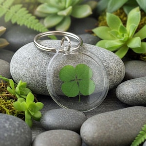 May include: A clear, round keychain with a four-leaf clover encased inside. The keychain has a silver-colored ring and is set against a backdrop of gray stones and green plants. The clover is a vibrant green.