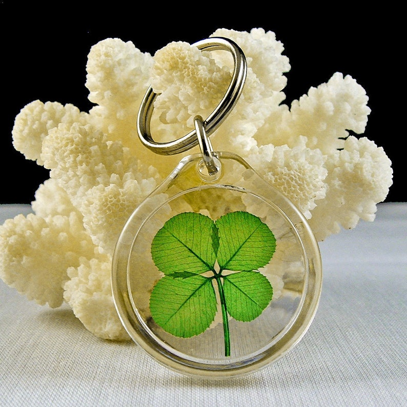 May include: A clear, round keychain with a silver ring, encasing a vibrant green four-leaf clover. The clover's detailed veins are visible. The keychain is set against a backdrop of a textured, off-white coral.