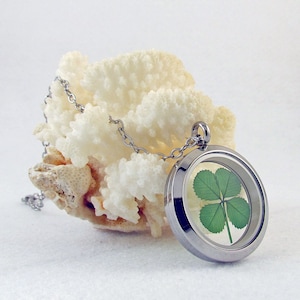 Genuine Preserved Four Leaf Clover Good Luck Charm Stainless Steel Pendant Necklace  - SSN-4J