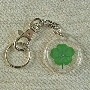 May include: A silver key chain with a clear round charm containing a preserved four-leaf clover.