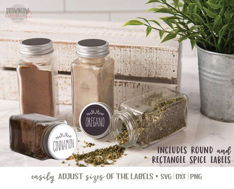 May include: Four glass spice jars with labels that say "Oregano" and "Cinnamon". The labels are round and have a floral design. The jars are sitting on a white surface with a plant in a galvanized pot in the background. The text "INCLUDES ROUND and RECTANGLE SPICE LABELS" is written below the jars. The text "easily ADJUST sizes OF THE LABELS - SVG | DXF | PNG" is written below the text about the labels.