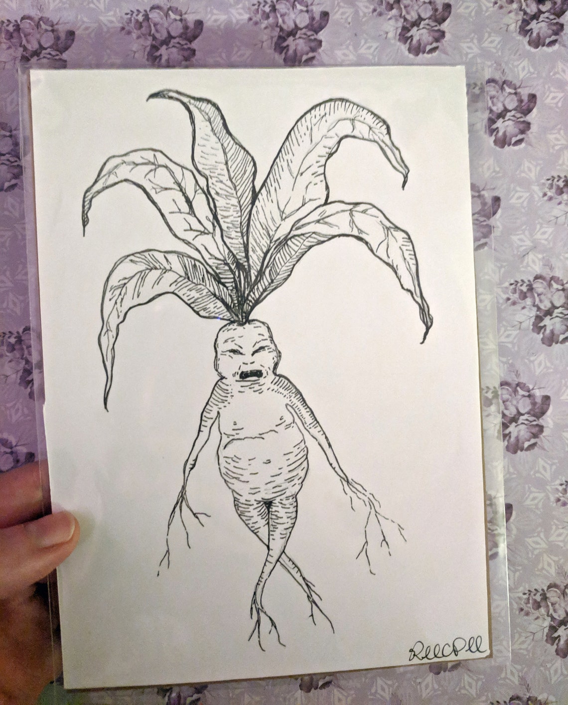 Mandrake 5x7 Print Herbology witch botanical art packaged Etsy