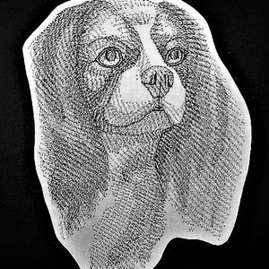 Puede incluir: Una ilustración en blanco y negro de un perro Cavalier King Charles Spaniel con pelo largo y fluido. El perro tiene una expresión dulce y mira directamente al espectador.
