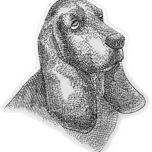 May include: Black and white illustration of a Basset Hound dog's head. The dog's head is turned slightly to the side, with its long ears hanging down. The image is a detailed drawing with a textured appearance.