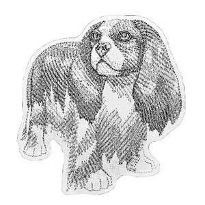 Puede incluir: Dibujo en blanco y negro de un perro Cavalier King Charles Spaniel con orejas largas y colgantes. El perro mira directamente al espectador.