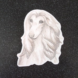 May include: A black and white pencil drawing of an Afghan Hound with long, flowing hair. The dog is looking directly at the viewer.