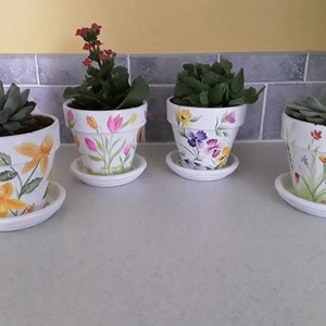 Hand-Painted Flower Pot with Saucer: Custom Succulent Planter