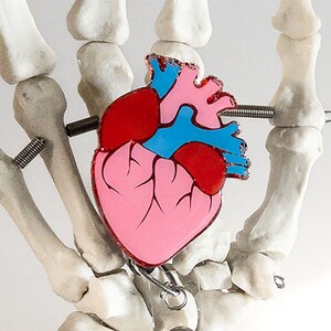 Buy Anatomical Heart Badge Reel Online In India -  India