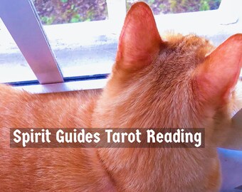 Spirit Guide Tarot Reading