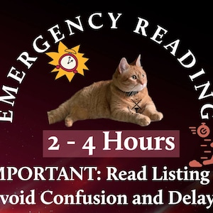 May include: A graphic with a white text overlay on a dark red background. The text reads "EMERGENCY READING" in a semi-circle around a cartoon image of a clock with an alarm. Below the clock is a cartoon image of an orange tabby cat lying down. Below the cat is the text "2 - 4 Hours" in red. Below the text is the text "IMPORTANT: Read Listing to avoid Confusion and Delays" in white.
