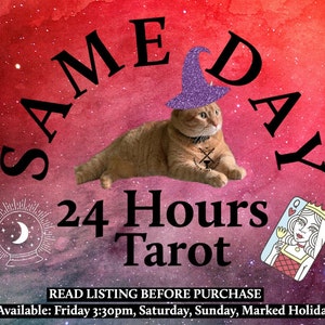 SAME DAY: 24 Hour Tarot Reading