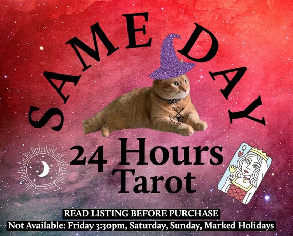 SAME DAY: 24 Hour Tarot Reading