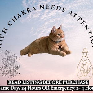 Könnte beinhalten: Eine rotbraune Katze mit einem Tattoo auf der Brust liegt auf einem hellblauen und rosafarbenen Wolkenhintergrund. Der Text "Which Chakra Needs Attention?" ist in einem Halbkreis über der Katze geschrieben.  Auf beiden Seiten der Katze befinden sich zwei Kristallbilder. Der Text "READ LISTING BEFORE PURCHASE" ist unter der Katze geschrieben. Der Text "Same Day/24 Hours OR Emergency: 2- 4 Hours" ist unter dem Text "READ LISTING BEFORE PURCHASE" geschrieben.