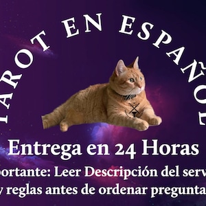 Lecturas de Tarot entregues no mesmo dia (24 horas)