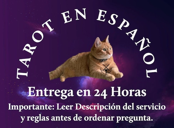 Lecturas de Tarot entregadas el mismo día (24 horas)