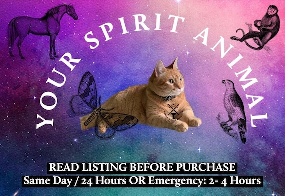 What Is My Spirit Animal? Reading