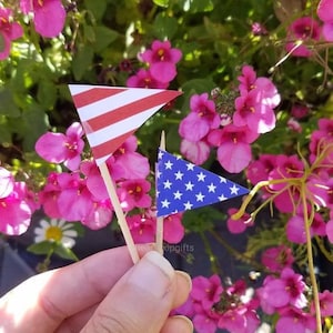 Könnte beinhalten: Zwei kleine dreieckige Zahnstocher-Fähnchen. Eine Flagge zeigt rote und weiße horizontale Streifen, die andere ist blau mit weißen Sternen. Beide Flaggen sind an dünnen Holzstäbchen befestigt und vor rosa Blumen abgebildet.