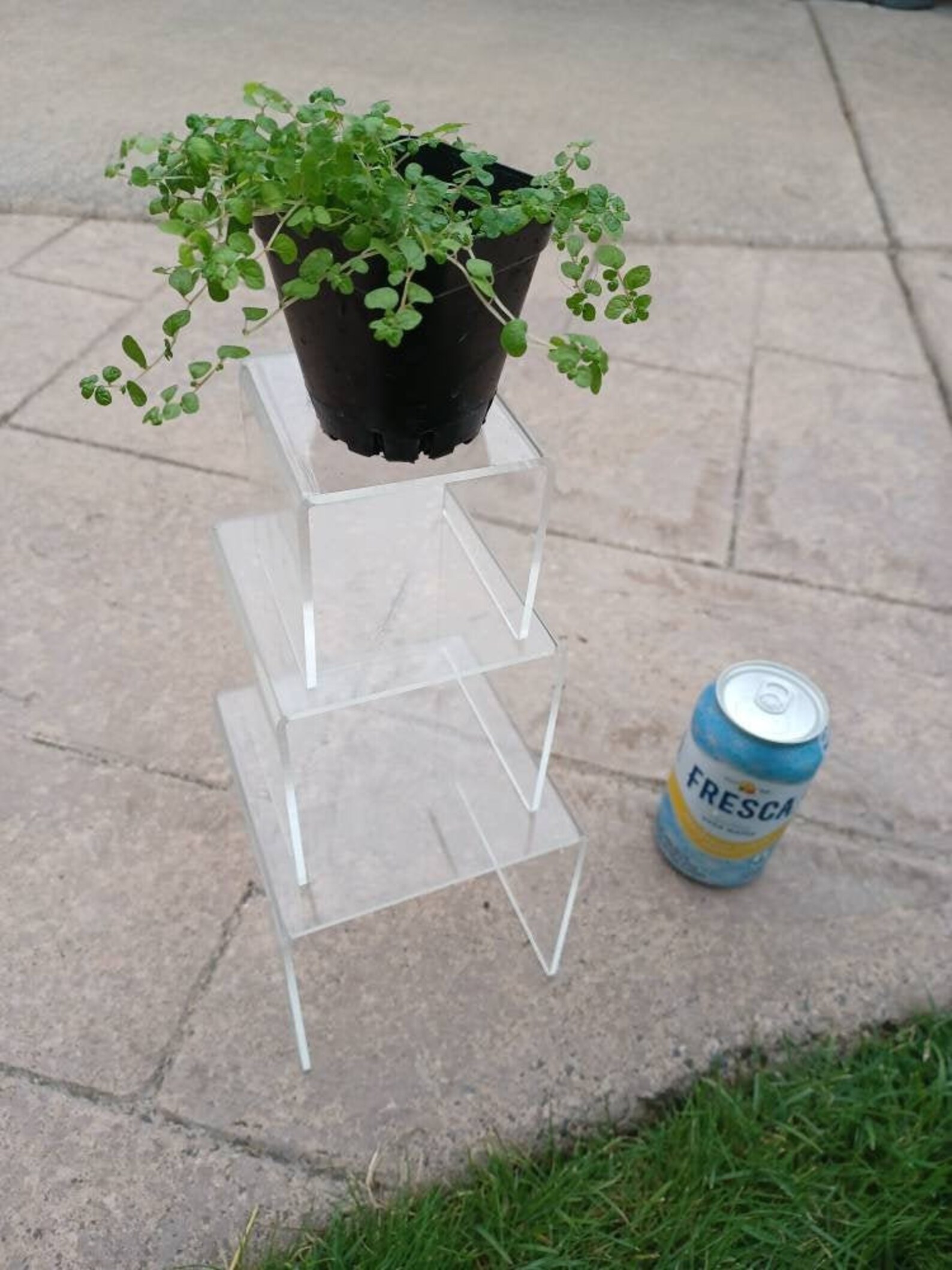 Clear Acrylic Mini Plant Stands Vintage Acrylic Clear Shelf Etsy
