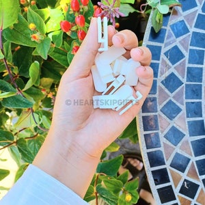 May include: A hand holding a collection of small, white plastic clips. The clips are various shapes and sizes, with some appearing to be designed for attaching items. The background features green foliage, red berries, and a mosaic tile surface.