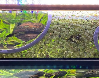 Floating Aquarium Plant Ring: Fish Feeder, Tank Decor - USA Made