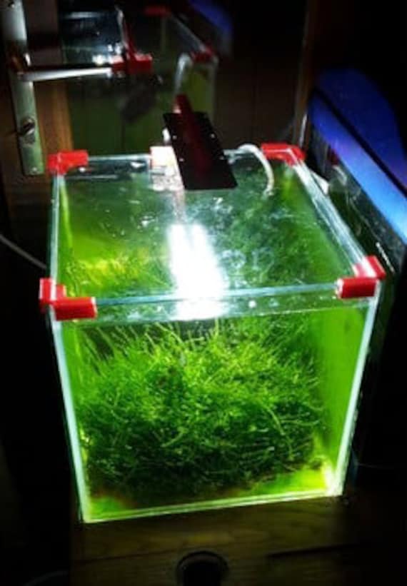 Rimless Aquarium Lid Clips 4pc Corner Clip for 4mm Glass Fishtank