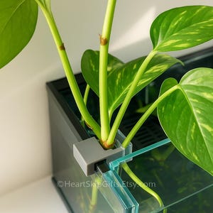 Plant Hanger for Rimless Tank - Aquarium Plant Pothos Propagation Clip - Aquascape Plant Clip - Betta Tank Lid Clips - USA Made