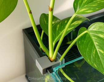 Aquarium Plant Hanger Clip: Pothos Propagation - Rimless Tank, USA Made -  Etsy