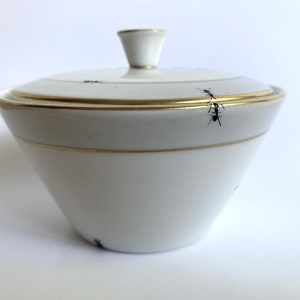 Chitins Gloss - Sugar Bowl - Vintage Porcelain - Handpainted With Ants