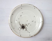 Wall plates - chitin gloss - vintage with ants handpainted porcelain
