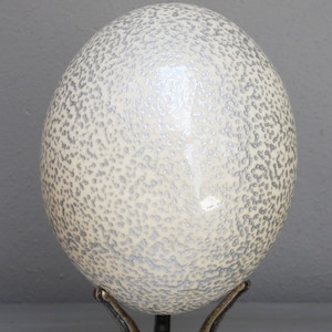 Speckled silver ostrich egg: an iconic decorative piece for the home or office, can be grouped in a bowl contrasted with silver or gold eggs