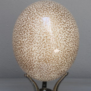 Speckled gold ostrich egg: an iconic decorative piece for the home or office, can be grouped in a bowl contrasted with gold or cream eggs