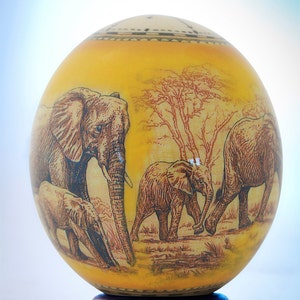 Elephant decoupage ostrich eggshell: A majestic herd of African elephants stare out of this beautifully painted decoupage ostrich eggshell