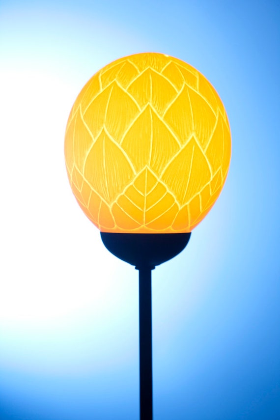 Protea lamp best sale