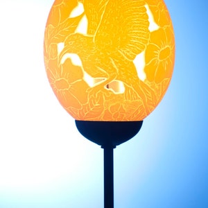 Hummingbird Flower themed osrich egg Lamp: hummingbird and flowers have been delicately carved onto an African ostrich eggshell