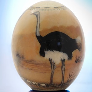 Decoupage ostrich egg: The ubiquitous ostrich in all of its plumed glory struts it stuff on the front of this unique African decor item