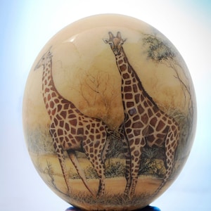 Decoupage Giraffe ostrich egg: Gangly giraffes appear in their natural bushland setting on the front of this exquisite African decor item