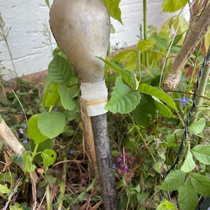 Deer & Ostrich Hide Shamanic Rattle – A Sacred Tool of Earth and Sky