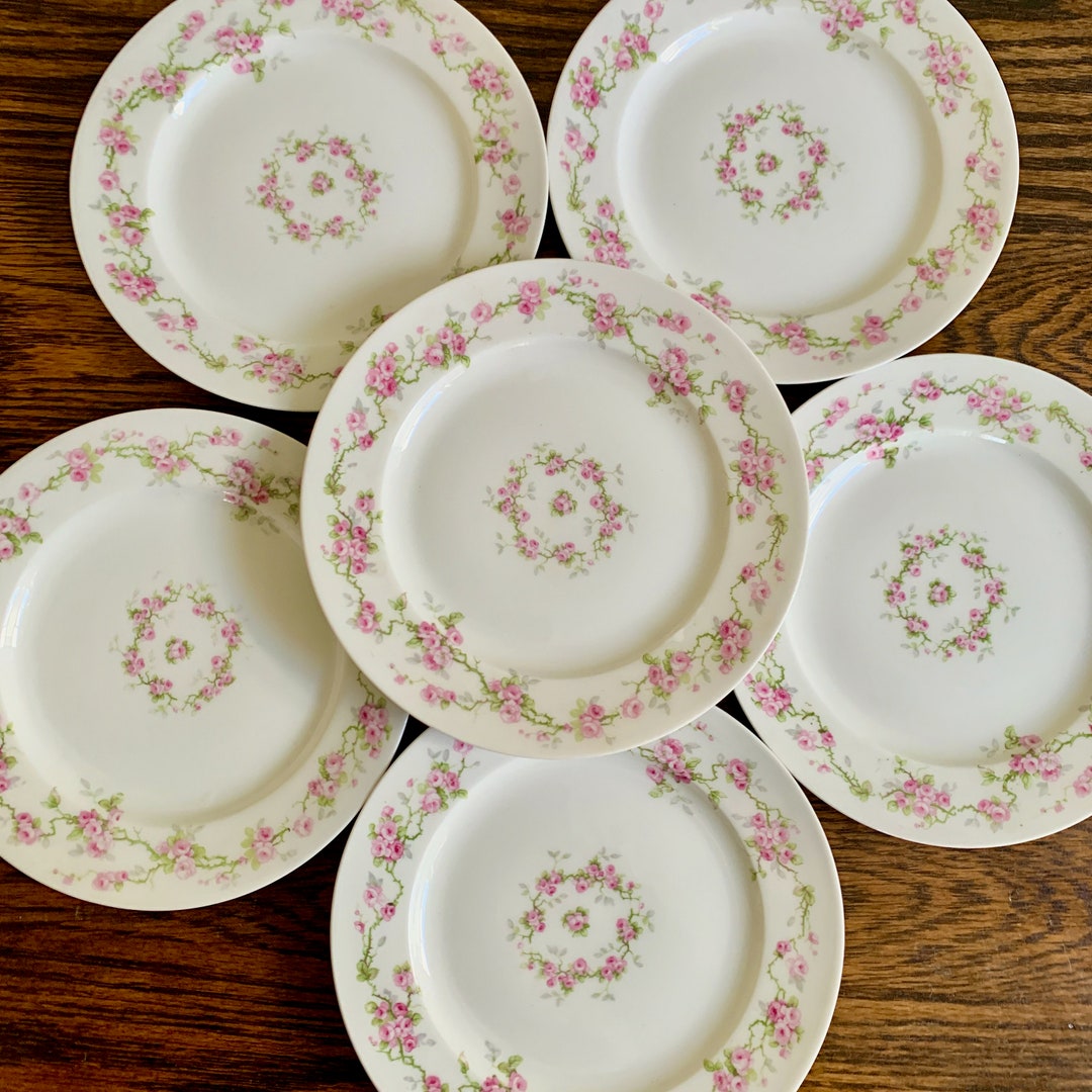 Set of 6 Antique Limoges Dessert Plates Charles Field Haviland Plates