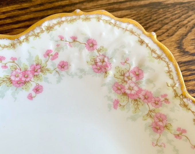 Antique Limoges Serving Platter 14 Bawo & Dotter Elite Works Oval