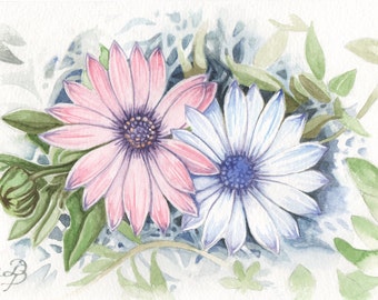 African Daisy in Watercolour, Original Flower Painting