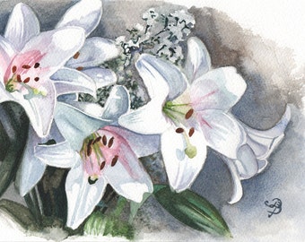 White Lilies in Watercolour, Original Watercolour Painting