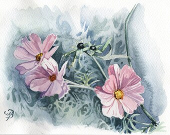 Cosmos in Watercolour, Original Watercolour Painting