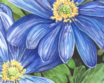 Anemone Blanda Watercolour Painting, Blue Daisies Painting