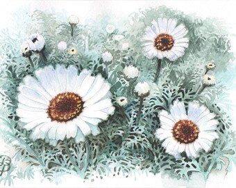 White Daisy in Watercolour, Flower Painting