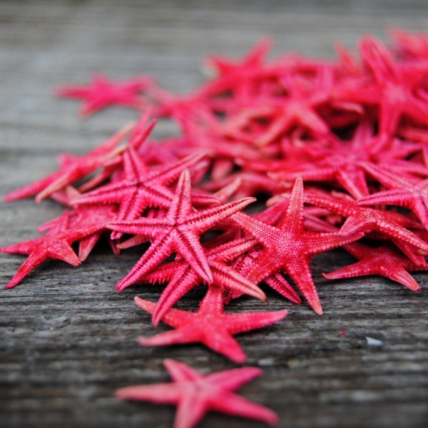 50 pc Red Small Starfish ( 1 - 2") - Craft Starfish - Wholesale - Craft Supply - Beach Decor - Jewelry Supply