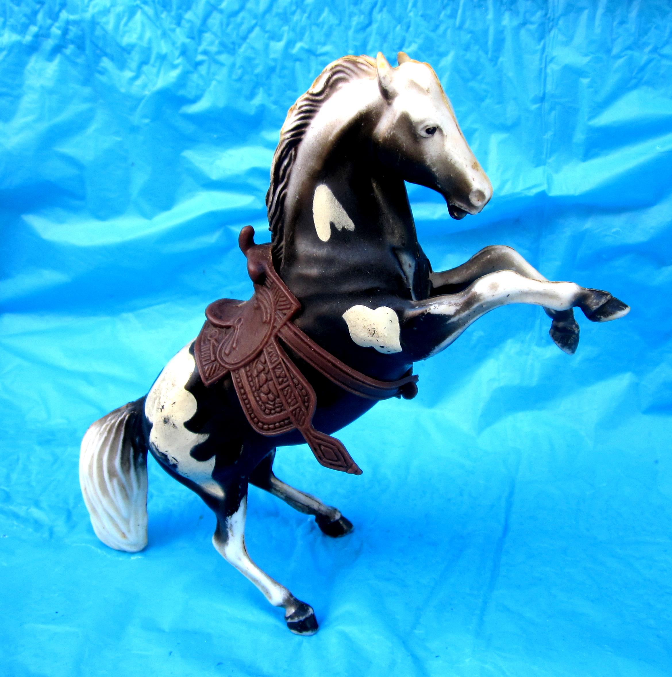 Hong kong horse Italia