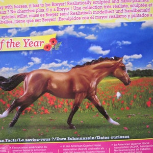 Breyer 2017 Horse Of The Year-Bella-Buckskin Quarter Horse  Limited Edition 1:12 scale,  IOB