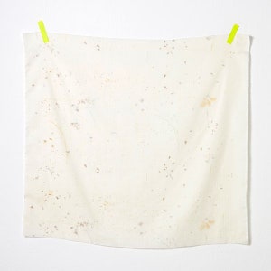 nani IRO Flowers Bloom & Bear Fruits ~ nani IRO 2023 ~ D Cream ~ Double Gauze ~ Kokka Japanese Fabric ~ Apparel Fabrics ~ Flora Fabrics~50cm
